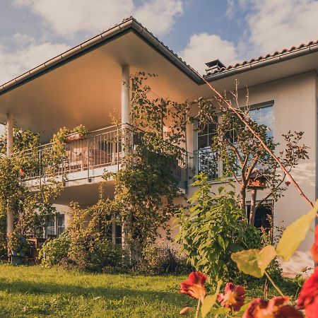 Coraline -Koblach, 6-10 P, 3 Schlafzimmer, Kueche, Riesige Terrasse, Parkplatz, Wifi, Stellplatz Ski Zewnętrze zdjęcie