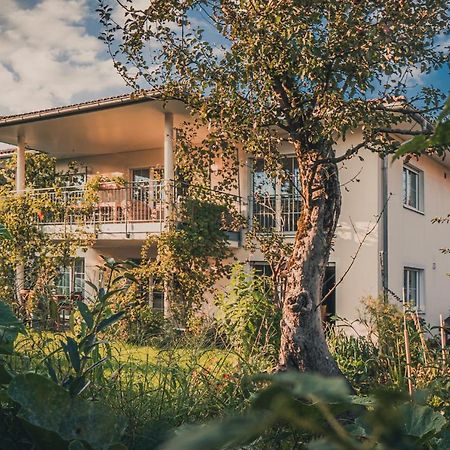 Coraline -Koblach, 6-10 P, 3 Schlafzimmer, Kueche, Riesige Terrasse, Parkplatz, Wifi, Stellplatz Ski Zewnętrze zdjęcie