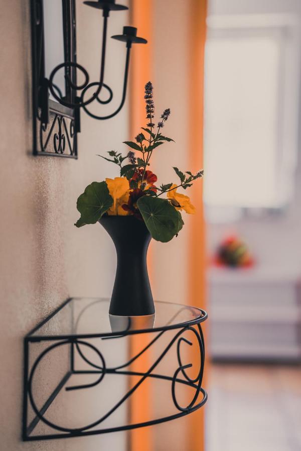 Coraline -Koblach, 6-10 P, 3 Schlafzimmer, Kueche, Riesige Terrasse, Parkplatz, Wifi, Stellplatz Ski Zewnętrze zdjęcie